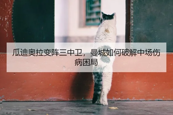 瓜迪奥拉变阵三中卫，曼城如何破解中场伤病困局