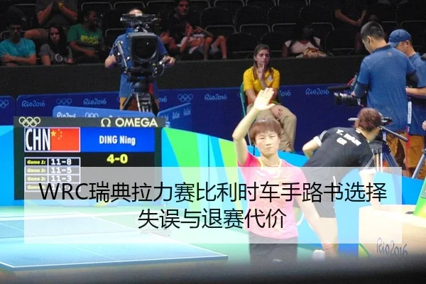 rui-dian-la-li-sai-bi-li-shi-che-shou-lu-shu-xuan-ze-shi-wu-yu-tui-sai-dai-jia-1-644.jpg